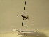  ( - bf-sym-00174)  @12 [ ] CreativeCommons - Attribution Share-Alike (2017) Lønnve, O.J BioFokus