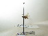  ( - bf-sym-00252)  @12 [ ] CreativeCommons - Attribution Share-Alike (2017) Lønnve, O.J BioFokus