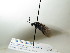  ( - bf-sym-00282)  @12 [ ] CreativeCommons - Attribution Share-Alike (2017) Lønnve, O.J BioFokus