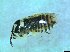  ( - bf-sym-00386)  @12 [ ] CreativeCommons - Attribution Share-Alike (2017) Lønnve, O.J BioFokus