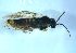 ( - bf-sym-00581)  @11 [ ] CreativeCommons - Attribution Share-Alike (2018) Lønnve, O.J BioFokus