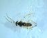  ( - bf-sym-00606)  @11 [ ] CreativeCommons - Attribution Share-Alike (2018) Lønnve, O.J BioFokus