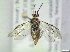  ( - bf-sym-00823)  @11 [ ] CreativeCommons - Attribution Share-Alike (2019) Lønnve, O.J BioFokus