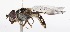  ( - CNC372517)  @13 [ ] No Rights Reserved (2015) Unspecified CNC