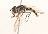  ( - CNC372641)  @13 [ ] No Rights Reserved (2015) Unspecified CNC