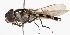  ( - CNC380071)  @13 [ ] No Rights Reserved (2015) Unspecified CNC