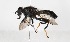  ( - CNC385450)  @11 [ ] No Rights Reserved (2015) Unspecified CNC