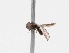  ( - INB4443305)  @11 [ ] No Rights Reserved (2015) Unspecified CNC