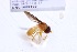  ( - CNC1059129)  @11 [ ] No Rights Reserved (2018) Unspecified CNC