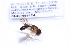  ( - CNC1059174)  @11 [ ] No Rights Reserved (2018) Unspecified CNC