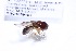  ( - CNC1059187)  @11 [ ] No Rights Reserved (2018) Unspecified CNC