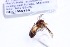  ( - CNC1059188)  @11 [ ] No Rights Reserved (2018) Unspecified CNC