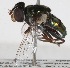  ( - AustralianMuseumK405002)  @11 [ ] No Rights Reserved (2015) Unspecified CNC