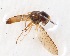  ( - CNC385006)  @11 [ ] No Rights Reserved (2015) Unspecified CNC