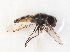  ( - CNC385039)  @13 [ ] No Rights Reserved (2015) Unspecified CNC