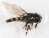  ( - CNC451775)  @13 [ ] No Rights Reserved (2015) Unspecified CNC