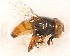  ( - CNC451908)  @12 [ ] No Rights Reserved (2015) Unspecified CNC
