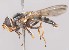  ( - Jeff_Skevington_Specimen43851)  @11 [ ] No Rights Reserved (2015) Unspecified CNC