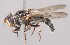  ( - Jeff_Skevington_Specimen43852)  @11 [ ] No Rights Reserved (2015) Unspecified CNC