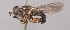  ( - UQIC_Reg94643)  @11 [ ] No Rights Reserved (2015) Unspecified CNC