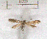  ( - RMZ3544_8)  @13 [ ] CreativeCommons - Attribution Non-Commercial Share-Alike (2015) Helgeland Museum Helgeland Museum