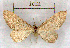  ( - RMZ3552_53)  @12 [ ] CreativeCommons - Attribution Non-Commercial Share-Alike (2015) Helgeland Museum Helgeland Museum