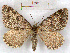  ( - RMZ3896_7)  @14 [ ] CreativeCommons - Attribution Non-Commercial Share-Alike (2015) Helgeland Museum Helgeland Museum