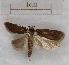  ( - RMZ4850_3)  @13 [ ] CreativeCommons - Attribution Non-Commercial Share-Alike (2015) Helgeland Museum Helgeland Museum