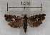  ( - RMZ6533_4)  @13 [ ] CreativeCommons - Attribution Non-Commercial Share-Alike (2015) Helgeland Museum Helgeland Museum