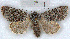  ( - RMZ8411)  @11 [ ] CreativeCommons - Attribution Non-Commercial Share-Alike (2015) Helgeland Museum Helgeland Museum