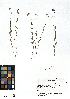  ( - SZU50090081_01)  @11 [ ] by-nc-sa (2024) SZU University of Salzburg