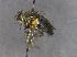  ( - JPT003)  @11 [ ] Unspecified (default): All Rights Reserved  Unspecified Unspecified