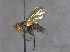  ( - JPT002)  @11 [ ] Unspecified (default): All Rights Reserved  Unspecified Unspecified