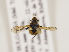  ( - ZMUO.030208)  @12 [ ] CreativeCommons - Attribution Non-Commercial (2019) Marko Mutanen University of Oulu