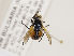  ( - ZMUO.030209)  @11 [ ] CreativeCommons - Attribution Non-Commercial (2019) Marko Mutanen University of Oulu