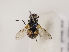  ( - ZMUO.030441)  @11 [ ] CreativeCommons - Attribution Non-Commercial (2019) Marko Mutanen University of Oulu