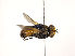  ( - ZMUO.030483)  @12 [ ] CreativeCommons - Attribution Non-Commercial (2019) Marko Mutanen University of Oulu
