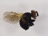  ( - ZMUO.030521)  @13 [ ] CreativeCommons - Attribution Non-Commercial (2019) Marko Mutanen University of Oulu