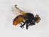  ( - ZMUO.030523)  @11 [ ] CreativeCommons - Attribution Non-Commercial (2019) Marko Mutanen University of Oulu