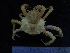  ( - UNMDP-TAL II-III_021)  @11 [ ] CreativeCommons - Attribution Non-Commercial Share-Alike (2014) Unspecified Laboratorio de Zoología de Invertebrados