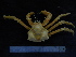  ( - UNMDP-TAL II-III_022)  @11 [ ] CreativeCommons - Attribution Non-Commercial Share-Alike (2014) Unspecified Laboratorio de Zoología de Invertebrados
