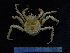  ( - UNMDP-TAL II-III_025)  @11 [ ] CreativeCommons - Attribution Non-Commercial Share-Alike (2014) Unspecified Laboratorio de Zoología de Invertebrados