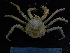  ( - UNMDP-TAL II-III_029)  @11 [ ] CreativeCommons - Attribution Non-Commercial Share-Alike (2014) Unspecified Laboratorio de Zoología de Invertebrados