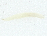  ( - BIOUG89989-A06)  @11 [ ] CreativeCommons - Attribution (2022) CBG Photography Group Centre for Biodiversity Genomics