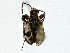  ( - BIOUG89990-E02)  @11 [ ] CreativeCommons - Attribution (2022) CBG Photography Group Centre for Biodiversity Genomics