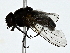  ( - BIOUG89990-G03)  @11 [ ] CreativeCommons - Attribution (2022) CBG Photography Group Centre for Biodiversity Genomics