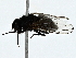  ( - BIOUG89990-G04)  @11 [ ] CreativeCommons - Attribution (2022) CBG Photography Group Centre for Biodiversity Genomics