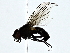  ( - BIOUG89990-G05)  @11 [ ] CreativeCommons - Attribution (2022) CBG Photography Group Centre for Biodiversity Genomics