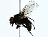  ( - BIOUG89991-C04)  @11 [ ] CreativeCommons - Attribution (2022) CBG Photography Group Centre for Biodiversity Genomics