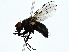  ( - BIOUG89991-C06)  @11 [ ] CreativeCommons - Attribution (2022) CBG Photography Group Centre for Biodiversity Genomics